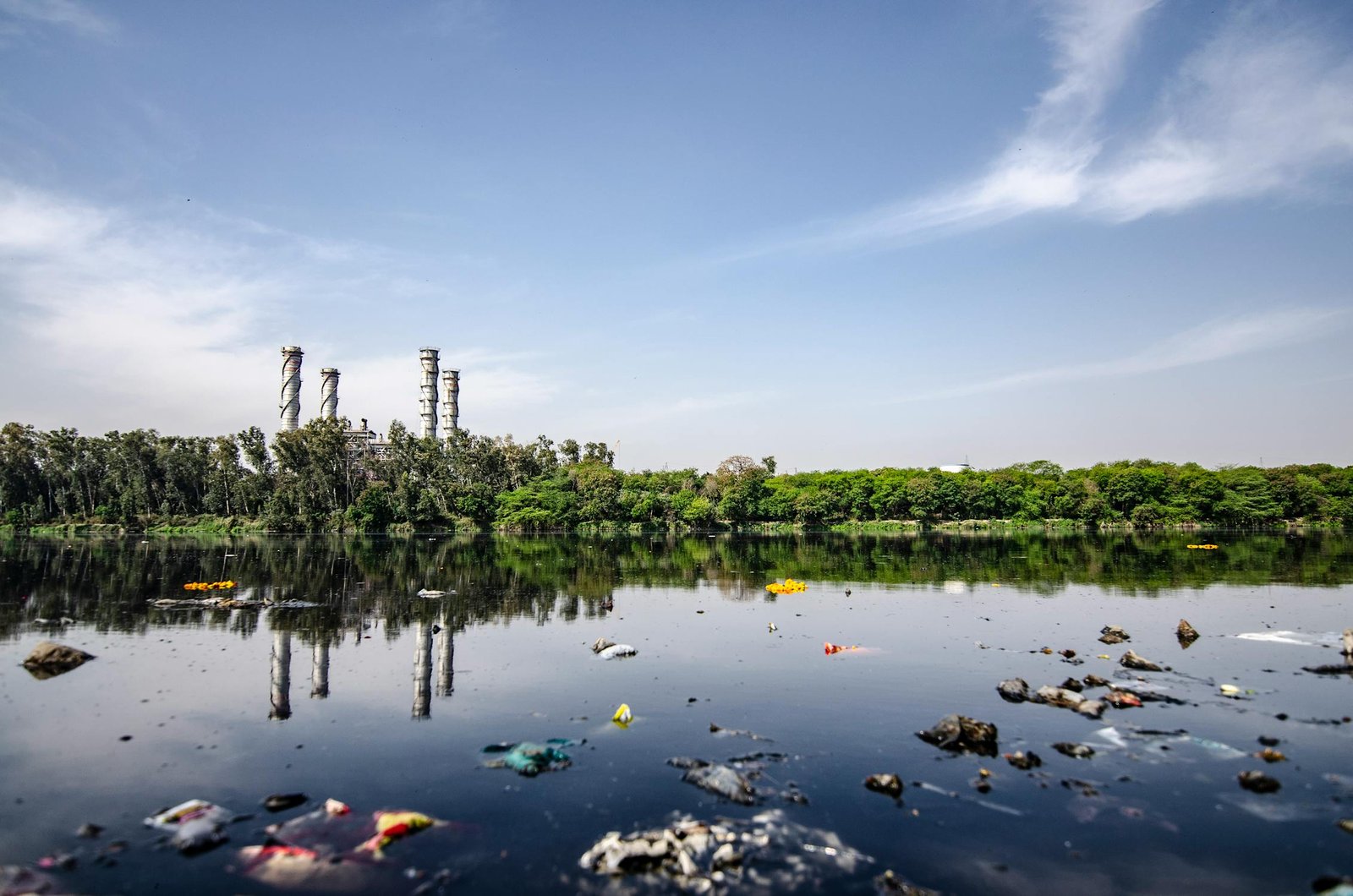effects_of_water_pollution