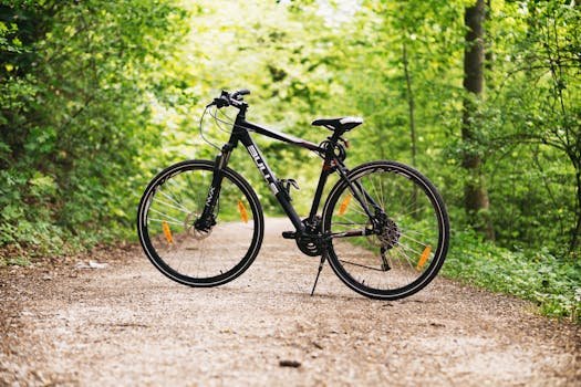 reduce-carbon-footprint